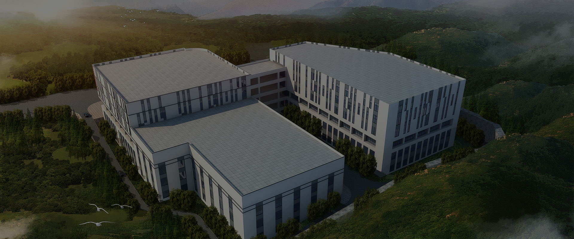 ���_(d��)���������ò��������I(l��ng)����